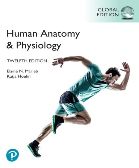 [eBook] [PDF] Human Anatomy & Physiology 12th Global Edition By Elaine Marieb, Katja Hoehn