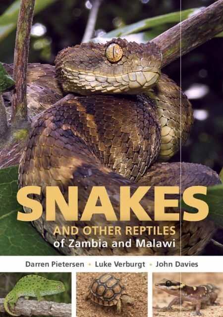 eBook Field Guide to Snakes and other Reptiles of Zambia and Malawi (Struik Nature Field Guides) by Darren W. Pietersen, Luke Verburgt ,John P. Davies