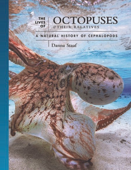 The Lives of Octopuses and Their Relatives A Natural History of Cephalopods (The Lives of the Natural World) By Danna Staaf
