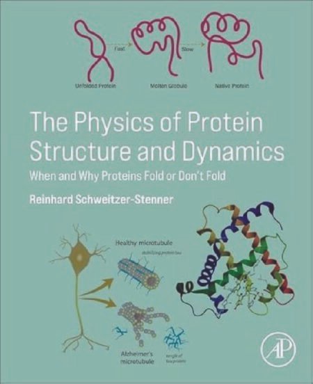 The Physics of Protein Structure and Dynamics When and Why Proteins Fold or Don’t Fold 1st Edition by Reinhard Schweitzer-Stenner