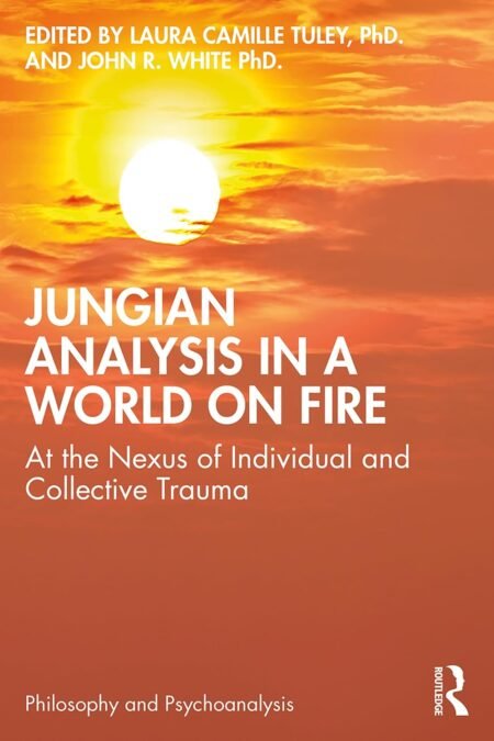 eBook Jungian Analysis in a World on Fire 1st Edition By Laura Tuley PhD, John White PhD